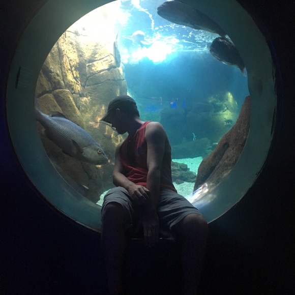 Meet your Posher, Matthew - Picture 4 of 7